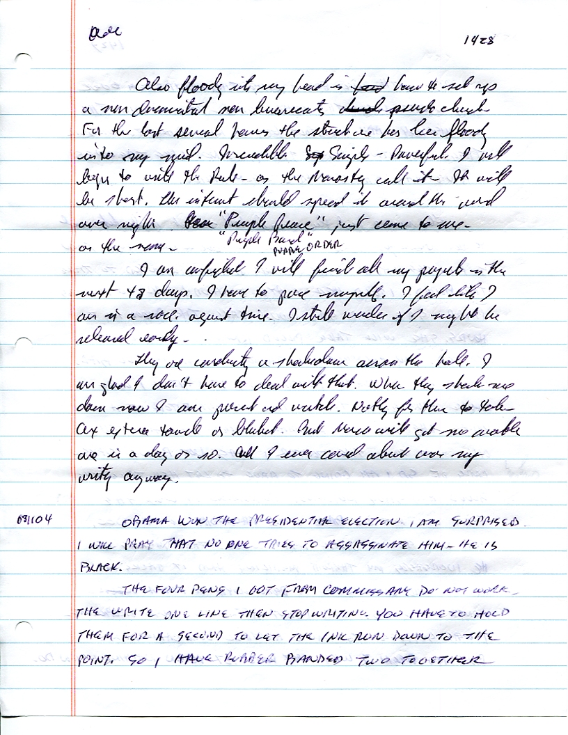 Dr John WorldPeace 2008 Prison Journal